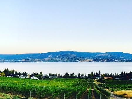 Summerhill Estate House Bed and Breakfast Kelowna Exteriör bild