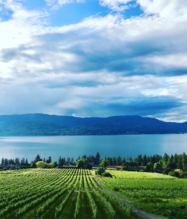 Summerhill Estate House Bed and Breakfast Kelowna Exteriör bild